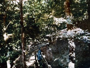 Un soldato francese in una trincea nella foresta vicino a Verdun, settembre 1916